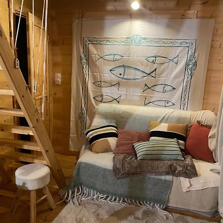 Maison En Bois 1 Chambre 4 Couchages Type Tiny House 格朗维尔 外观 照片